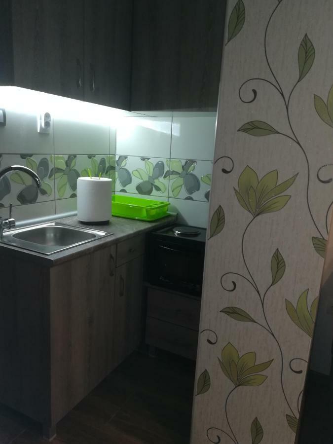 Classy And Cozy - Parking - 3 Beds - Near Center Novi Sad Exterior photo